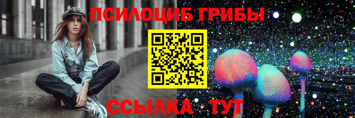 Галлюциногенные грибы Psilocybine cubensis Кувандык
